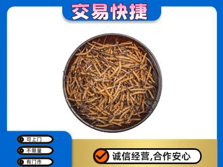 新余高价回收散虫草